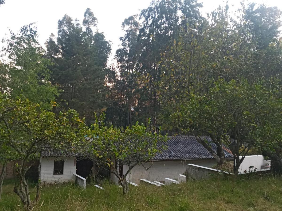 Quinta Los Eucaliptos Otel Quito Dış mekan fotoğraf